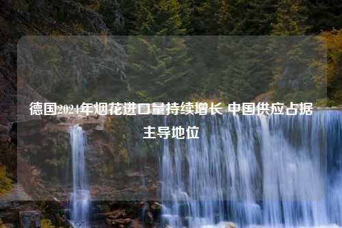 德国2024年烟花进口量持续增长 中国供应占据主导地位