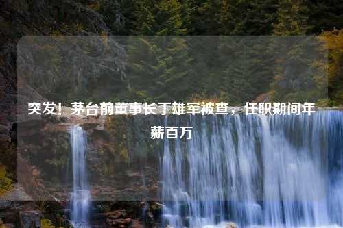 突发！茅台前董事长丁雄军被查，任职期间年薪百万