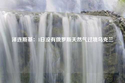 泽连斯基：1日没有俄罗斯天然气过境乌克兰