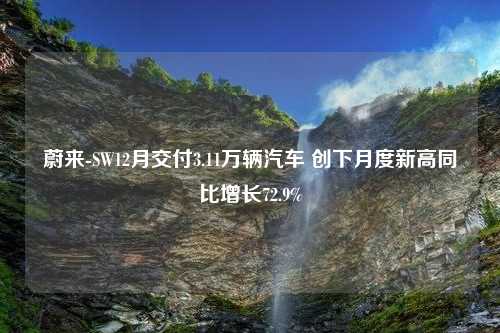 蔚来-SW12月交付3.11万辆汽车 创下月度新高同比增长72.9%