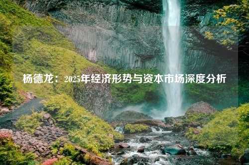 杨德龙：2025年经济形势与资本市场深度分析