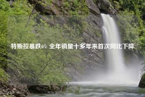 特斯拉暴跌6% 全年销量十多年来首次同比下降