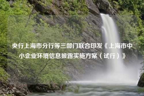 央行上海市分行等三部门联合印发《上海市中小企业环境信息披露实施方案（试行）》