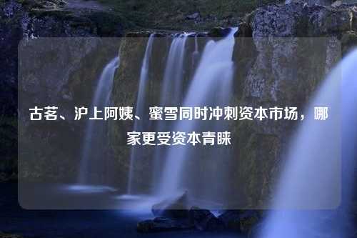 古茗、沪上阿姨、蜜雪同时冲刺资本市场，哪家更受资本青睐