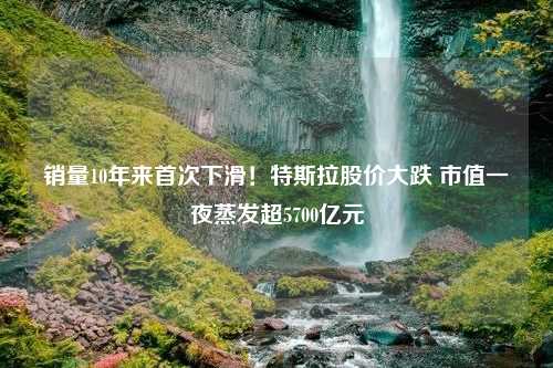 销量10年来首次下滑！特斯拉股价大跌 市值一夜蒸发超5700亿元