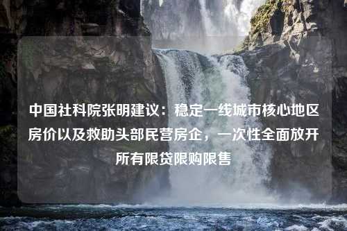 中国社科院张明建议：稳定一线城市核心地区房价以及救助头部民营房企，一次性全面放开所有限贷限购限售