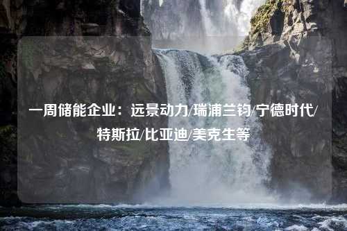 一周储能企业：远景动力/瑞浦兰钧/宁德时代/特斯拉/比亚迪/美克生等