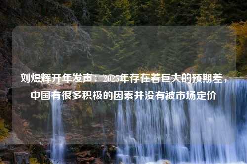 刘煜辉开年发声：2025年存在着巨大的预期差，中国有很多积极的因素并没有被市场定价