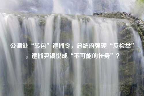 公调处“转包”逮捕令，总统府强硬“反检举”，逮捕尹锡悦成“不可能的任务”？