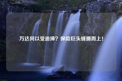 万达何以受追捧？保险巨头蜂拥而上！