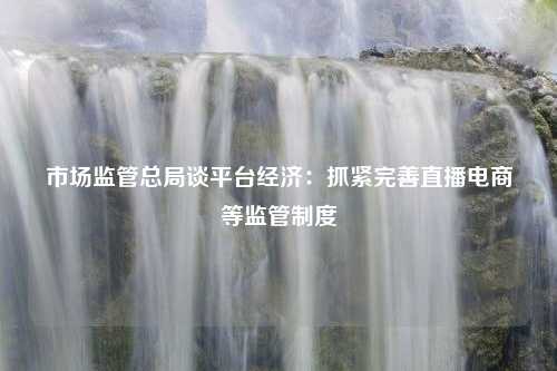 市场监管总局谈平台经济：抓紧完善直播电商等监管制度