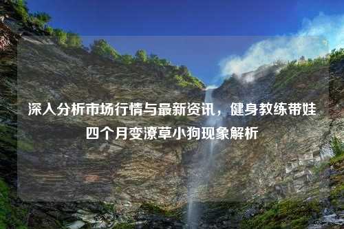 深入分析市场行情与最新资讯，健身教练带娃四个月变潦草小狗现象解析