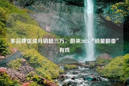 多品牌促成月销超三万，蔚来2025“销量翻番”有戏