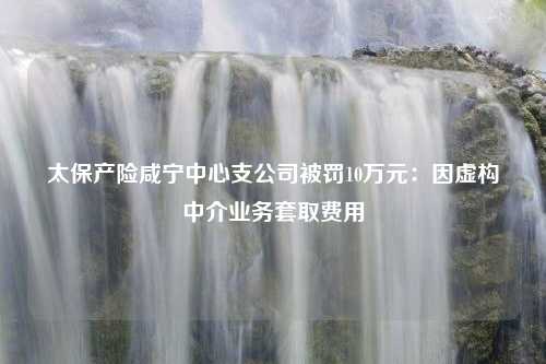 太保产险咸宁中心支公司被罚10万元：因虚构中介业务套取费用