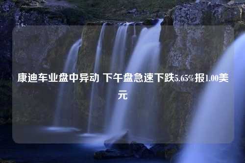 康迪车业盘中异动 下午盘急速下跌5.65%报1.00美元