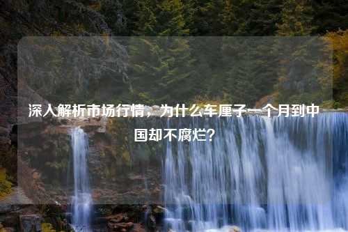 深入解析市场行情，为什么车厘子一个月到中国却不腐烂？