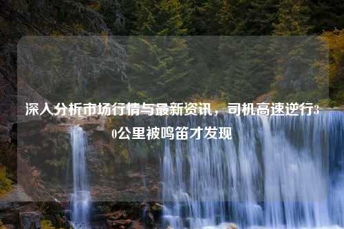 深入分析市场行情与最新资讯，司机高速逆行30公里被鸣笛才发现