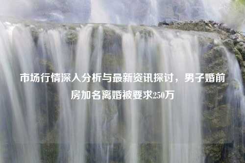 市场行情深入分析与最新资讯探讨，男子婚前房加名离婚被要求250万