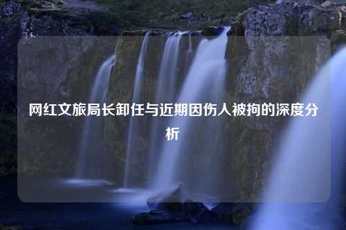 网红文旅局长卸任与近期因伤人被拘的深度分析