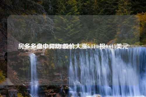 房多多盘中异动 股价大涨5.11%报0.615美元