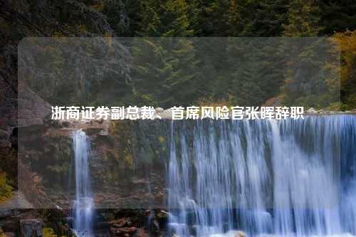 浙商证券副总裁、首席风险官张晖辞职