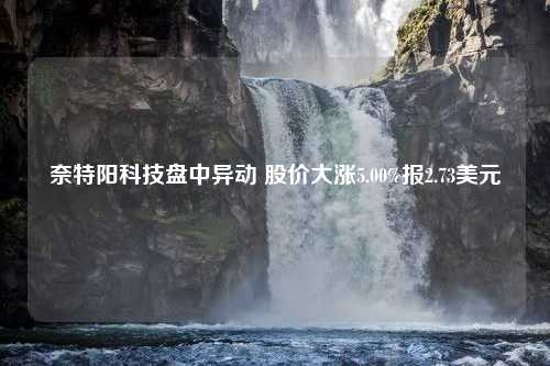 奈特阳科技盘中异动 股价大涨5.00%报2.73美元