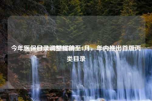 今年医保目录调整提前至4月，年内推出首版丙类目录