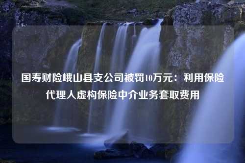 国寿财险峨山县支公司被罚10万元：利用保险代理人虚构保险中介业务套取费用