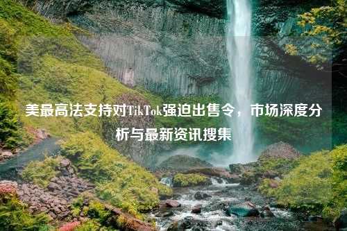 美最高法支持对TikTok强迫出售令，市场深度分析与最新资讯搜集