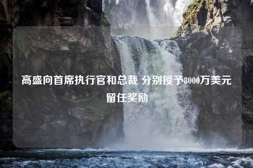 高盛向首席执行官和总裁 分别授予8000万美元留任奖励