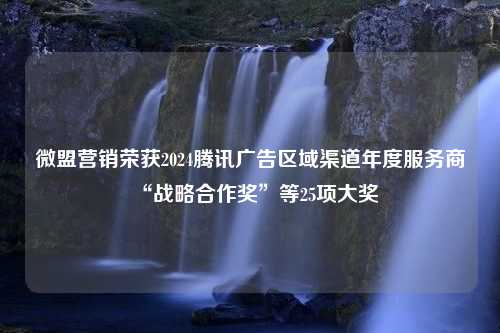 微盟营销荣获2024腾讯广告区域渠道年度服务商“战略合作奖”等25项大奖