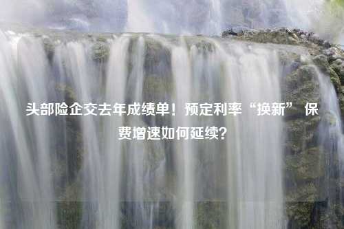 头部险企交去年成绩单！预定利率“换新” 保费增速如何延续？