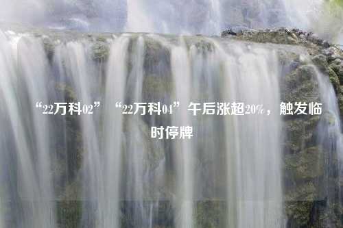 “22万科02”“22万科04”午后涨超20%，触发临时停牌