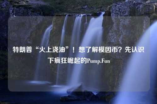 特朗普“火上浇油”！想了解模因币？先认识下疯狂崛起的Pump.Fun