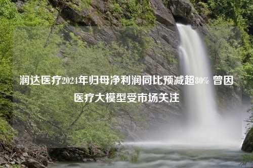 润达医疗2024年归母净利润同比预减超80% 曾因医疗大模型受市场关注