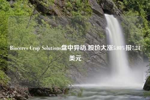 Bioceres Crop Solutions盘中异动 股价大涨5.08%报7.24美元