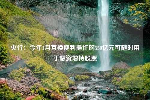 央行：今年1月互换便利操作的550亿元可随时用于融资增持股票