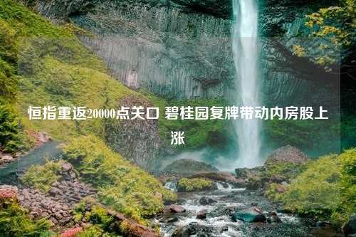 恒指重返20000点关口 碧桂园复牌带动内房股上涨