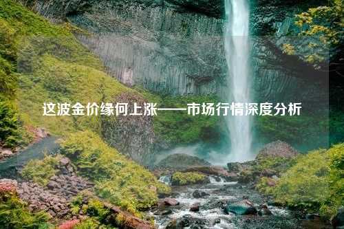 这波金价缘何上涨——市场行情深度分析