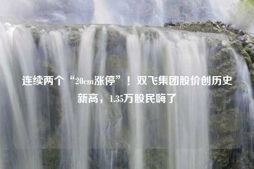 连续两个“20cm涨停”！双飞集团股价创历史新高，1.35万股民嗨了