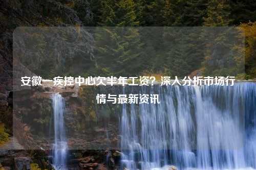 安徽一疾控中心欠半年工资？深入分析市场行情与最新资讯