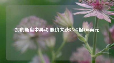 加的斯盘中异动 股价大跌5.56%报3.06美元