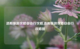 洛阳旅游攻略自由行攻略,洛阳旅游攻略自由行攻略图