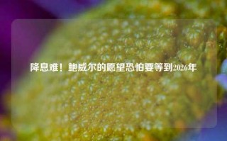 降息难！鲍威尔的愿望恐怕要等到2026年