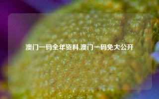 澳门一码全年资料,澳门一码免大公开