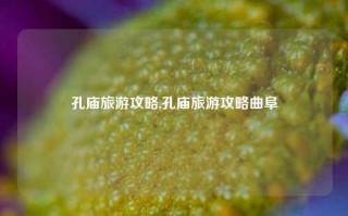 孔庙旅游攻略,孔庙旅游攻略曲阜