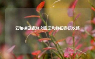 云和梯田旅游攻略,云和梯田游玩攻略