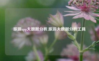 旅游app大数据分析,旅游大数据分析工具