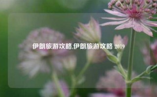 伊朗旅游攻略,伊朗旅游攻略 2019