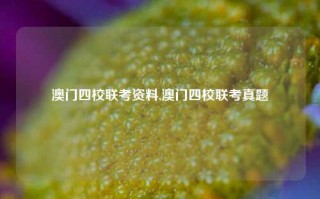 澳门四校联考资料,澳门四校联考真题